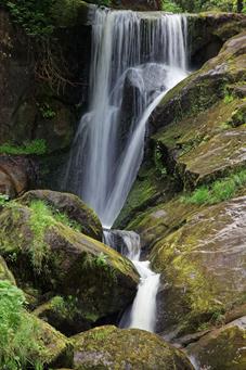 bayerischer _wald_IMG_2269